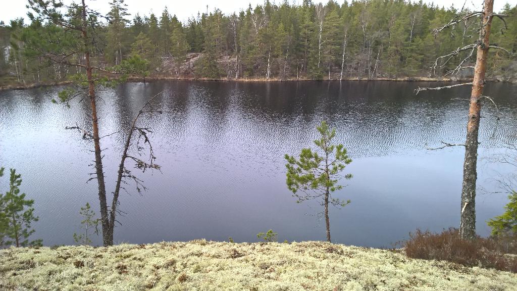 allu_1234's tweet photo. #seniorivaeltajat #kevätretki #kisko matkakuvia http://t.co/Tg15gGJA09