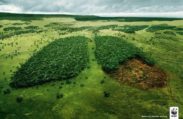 NextRoad1's tweet photo. #Culturaciudadanaes cuidar el medio ambiente http://t.co/bh4zMHwemt