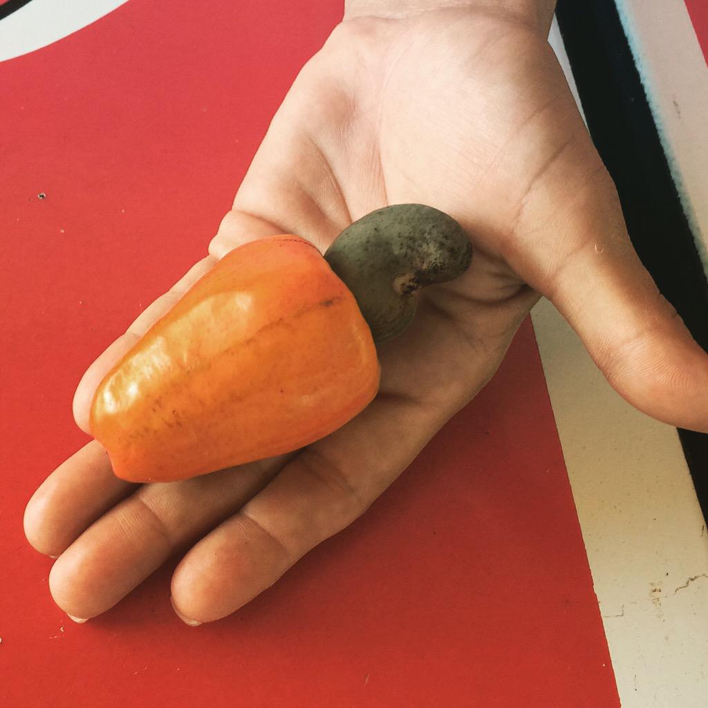 ArletMolgoraG's tweet photo. Iniciamos esta mañana en #AlvaroObregon #OPB disfrutando de un rico #Marañon, fruta de nuestra #RiberaDelRíoHondo. http://t.co/1bKDybwKHl