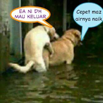 bolongentot's tweet photo. @MandaJaneta http://t.co/hmPvbDlfeF