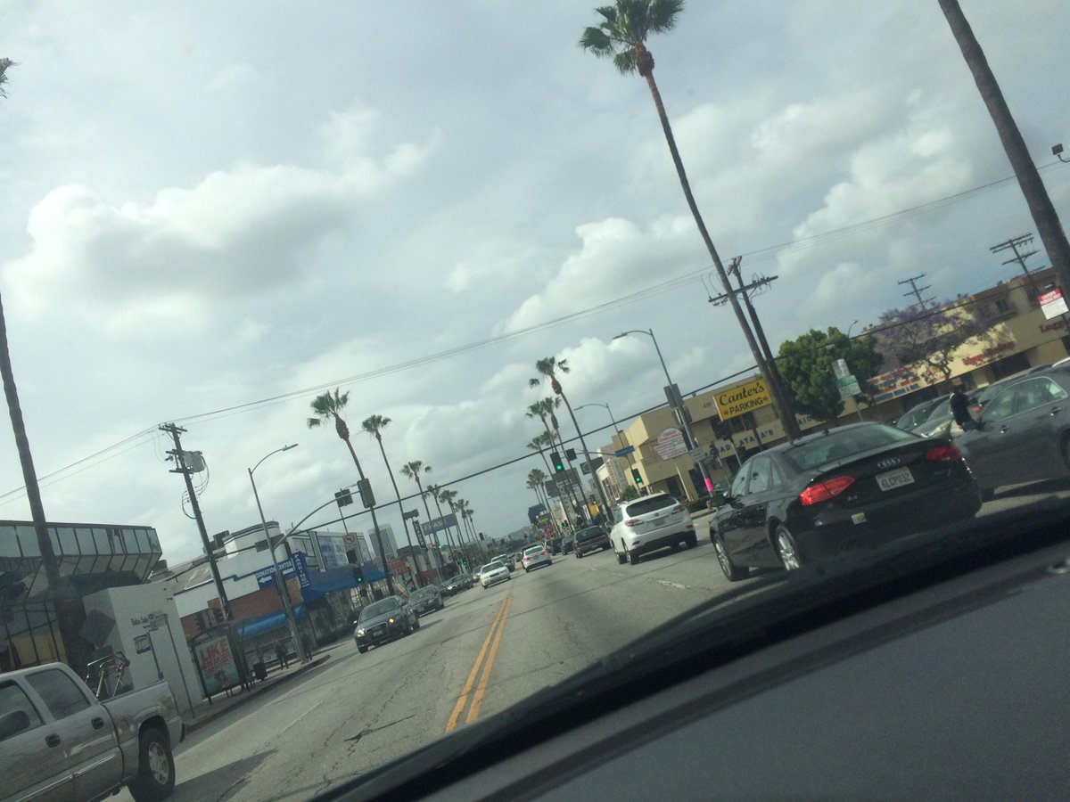 _Shit101's tweet image. Peace Out La La La Land! #roadtrip #palmsprings #minication #shit101