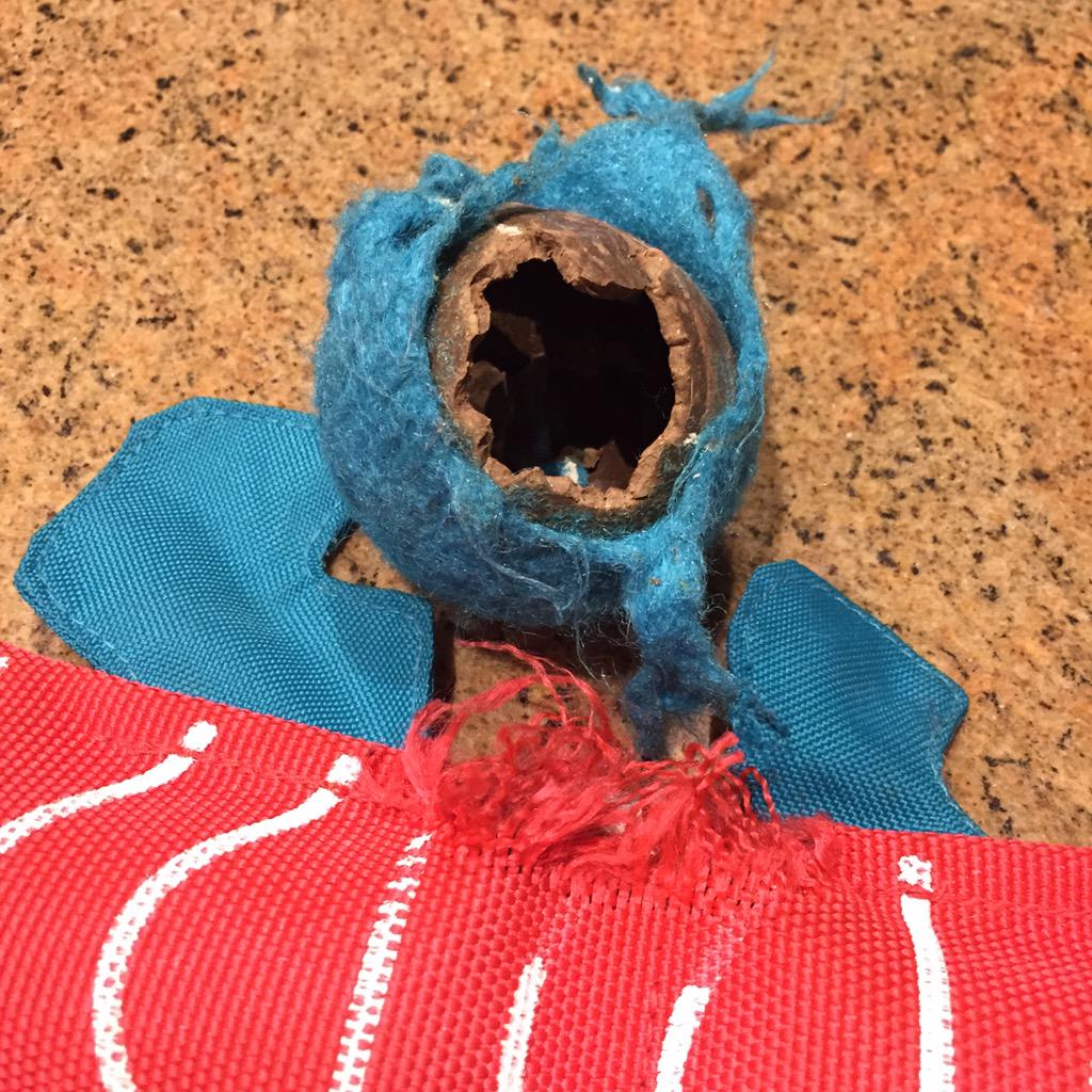 kewllewk's tweet photo. 30 seconds with Cooper and he has already left his mark. Thanks for the toys @PetSmart and @globalretailcon #GRC15 http://t.co/NaINjZiGzc