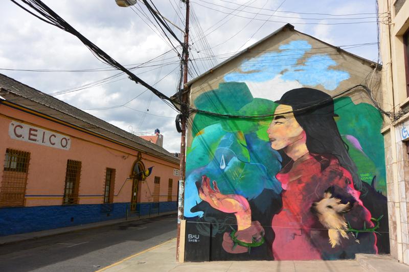 arquitecta's tweet photo. #BAU2015 la obra de Vale Clave (Chile) #StreetArt #Cochabamba http://t.co/fG4aIitXeM