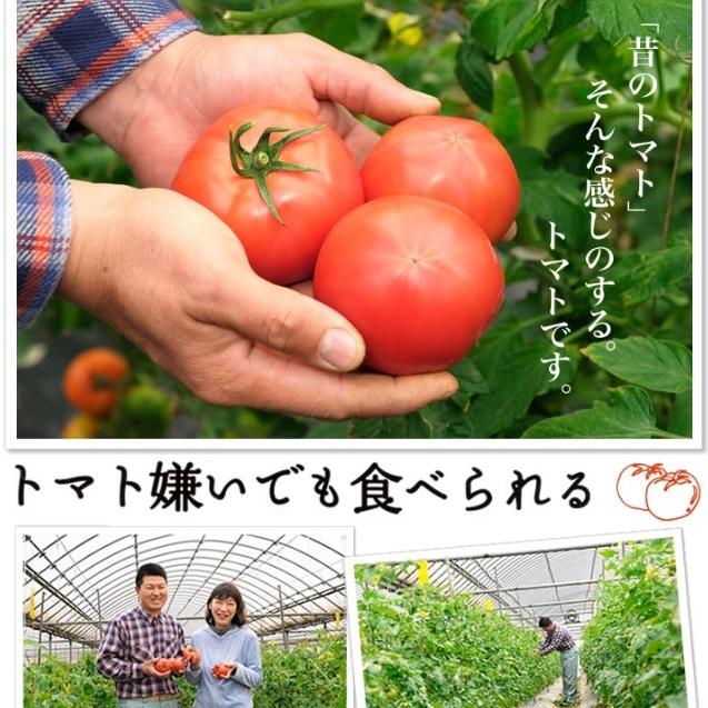 サンコンズ A Twitter 高上青果 こだわりの味トマト ギフト用 うれしい 送料無料 代引不可 福岡県産 とまとih について いいね と言っています 楽天 Http T Co ekblfmwq Http T Co lqwt0oug