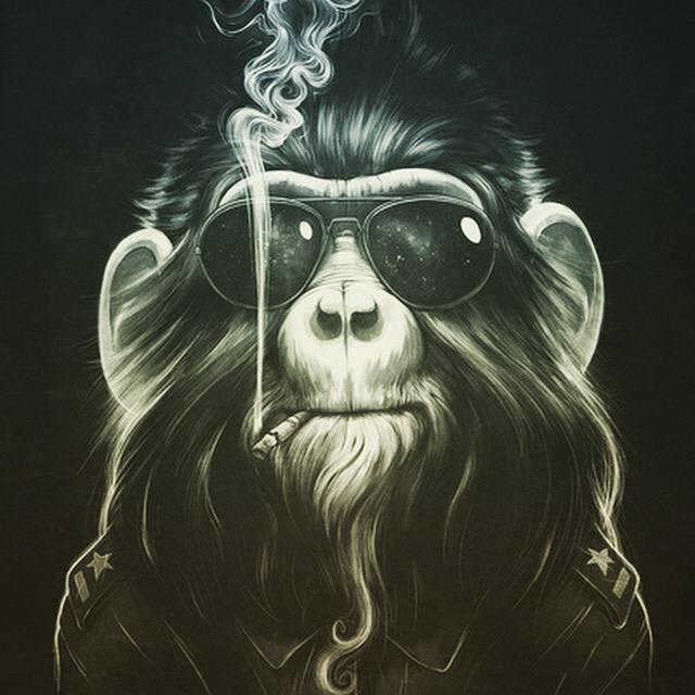 MLunchie's tweet photo. get ready for some monkey buzz. #munchielunchie http://t.co/9VHTPCacm3