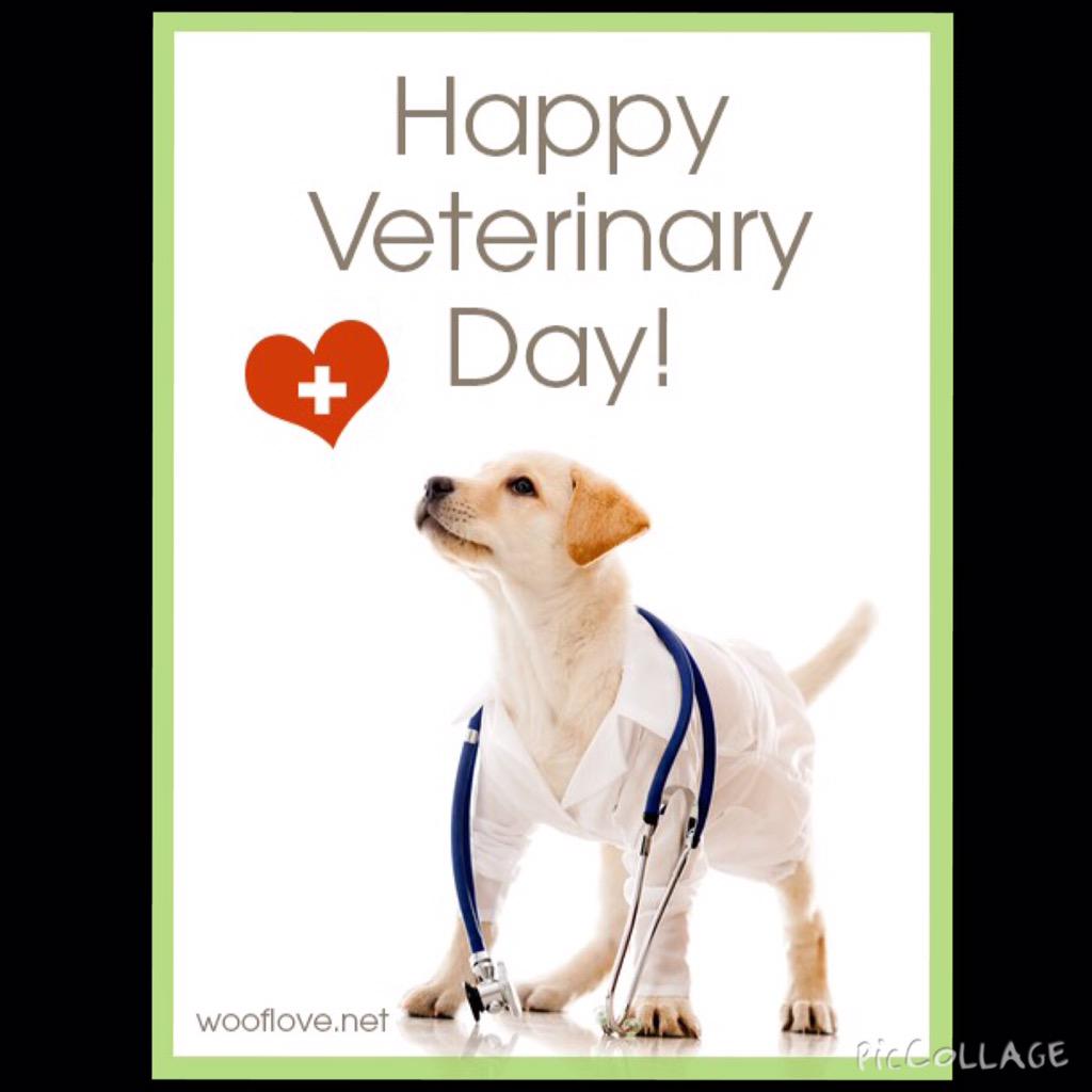 MississaugaAH's tweet photo. ~ It's World Veterinary Day!! ~

Wishing all our fellow veterinarians around the word a Happy Veterinary Day!! http://t.co/xMFtD575jc