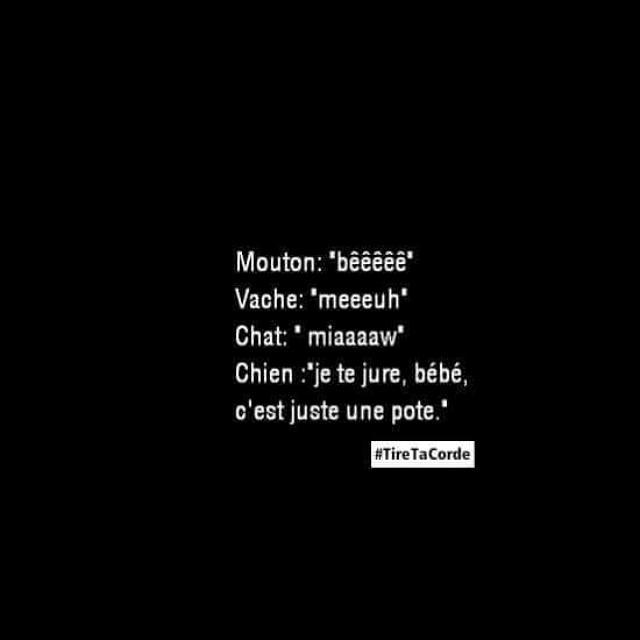 Tire Ta Corde Tiretacorde Humour Citation Punchline Findugame Labellevie Monpremiertweet Lesanges7 Vousetespaspret Fdp Http T Co Av0kidezez Twitter