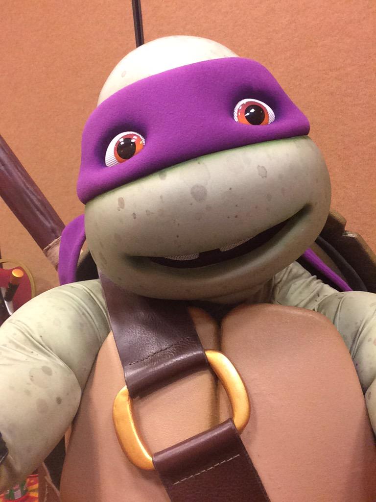 karrwreck's tweet photo. I'm hotter than you 💁🏻 #turtleweekend http://t.co/OqBmZB02xH
