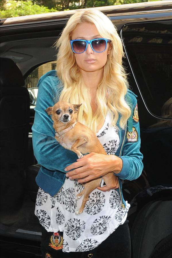 Fisilti Gazetesi On Twitter Paris Hilton 14 Yildir Yanindan Ayirmadigi Civava Cinsi Kopegi Tinkerbell In Oldugunu Instagram Dan Duyurdu Http T Co 6y2rkrmbny