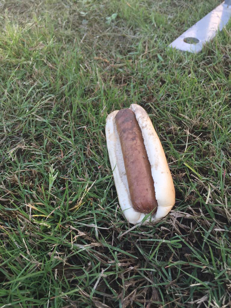 UM_Springfling's tweet image. RIP this hotdog #SpringFling2015