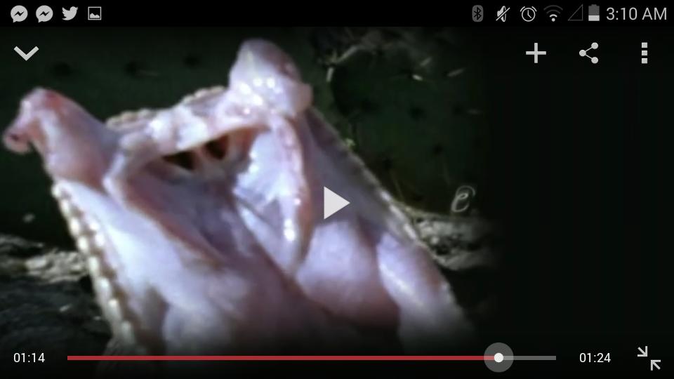 mum5928's tweet image. What is this. From the season 2 UK promo #PrettyLittleLiars #pllquestions #PLLchat 
a snake ?#PLL #pllclues #plltalk