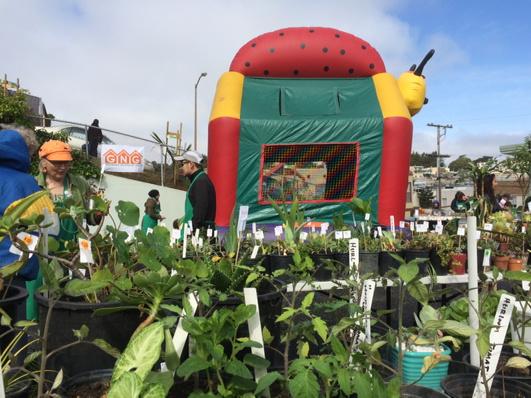 sfpublicworks's tweet photo. Stock up on plants &amp; fun @ Goettingen Plant Sale in the Portola now @Woolsey http://t.co/7VsEOXAmxH