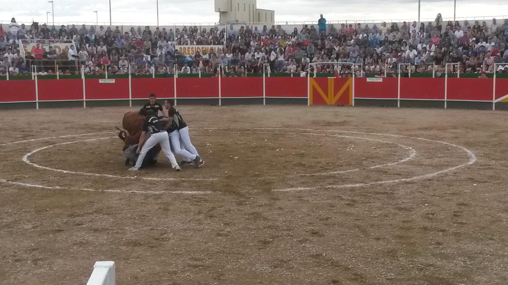 Arrugatacheli's tweet photo. Cuadrilla el Bayo #roscaderosTauste http://t.co/RzuNwJmbbG