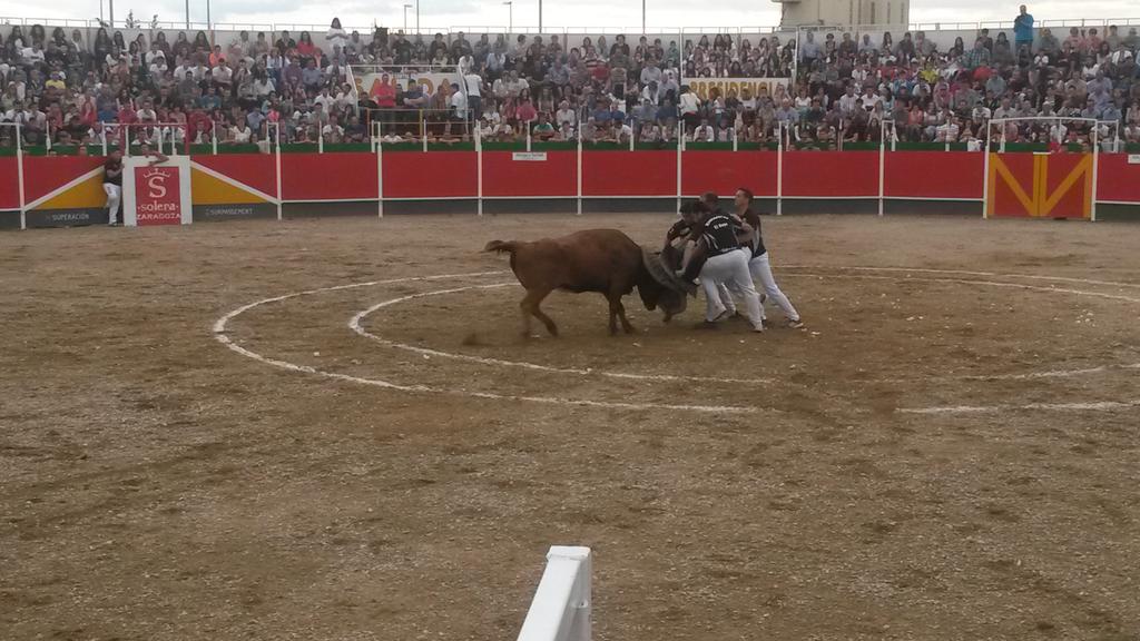 Arrugatacheli's tweet photo. Cuadrilla el Bayo #roscaderosTauste http://t.co/RzuNwJmbbG
