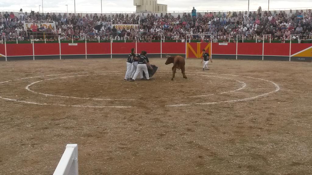 Arrugatacheli's tweet photo. Cuadrilla el Bayo #roscaderosTauste http://t.co/RzuNwJmbbG