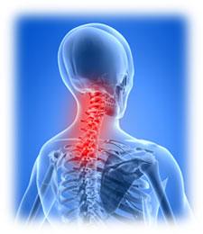 Movement Fest tweet media