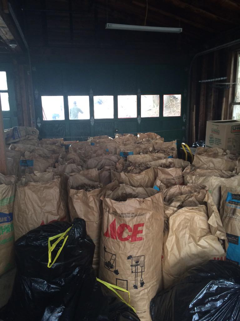 A job well done! Look at all those leaves! #colbycares <a href="/colbyvolunteer/">Colby Volunteer</a> <a href="/ColbyRugby/">Colby Men's Rugby</a> <a href="/ColbyCollege/">Colby College</a> #ColbyRugby