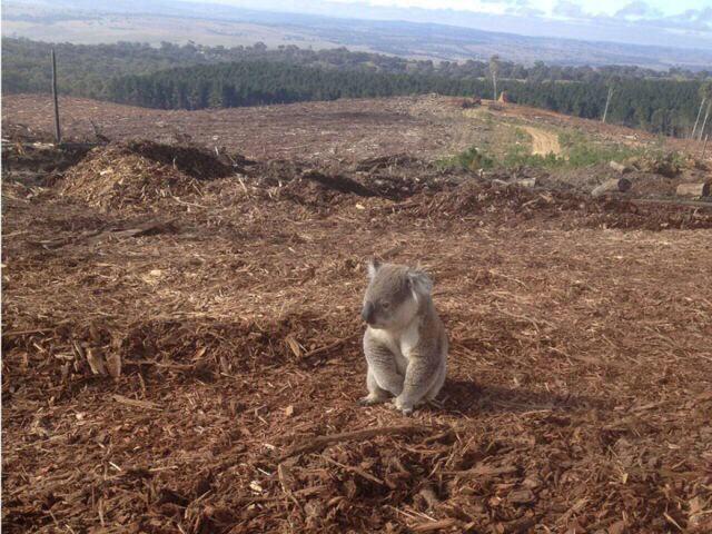 Ximxna's tweet photo. Take care of the Earth 😔 http://t.co/T95jZogW9R