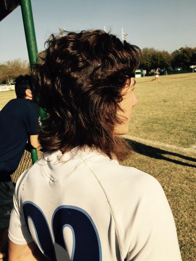 El Mono  tweet media