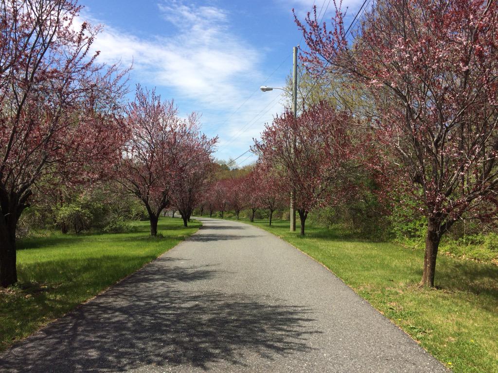 itsannayikes's tweet photo. a little delayed #Hike2Help http://t.co/oHY1UxU144