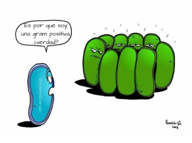MartiAmigo's tweet photo. Es lo q te pasará el año q viene.. 😂😂😂 #delirandoya #quedeacabeyaporfavor @maria_camacho97 http://t.co/INRktBKz9V