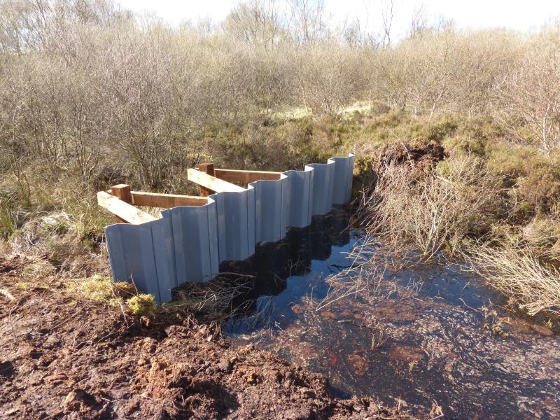 Ben Dolphin 🏴󠁧󠁢󠁳󠁣󠁴󠁿❄️ tweet media