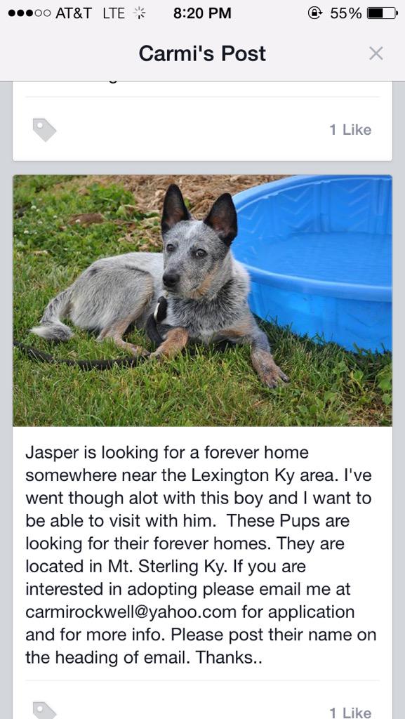 PurvisWhitley's tweet photo. Someone adopt him. Plz. http://t.co/xVtI9IBAI5