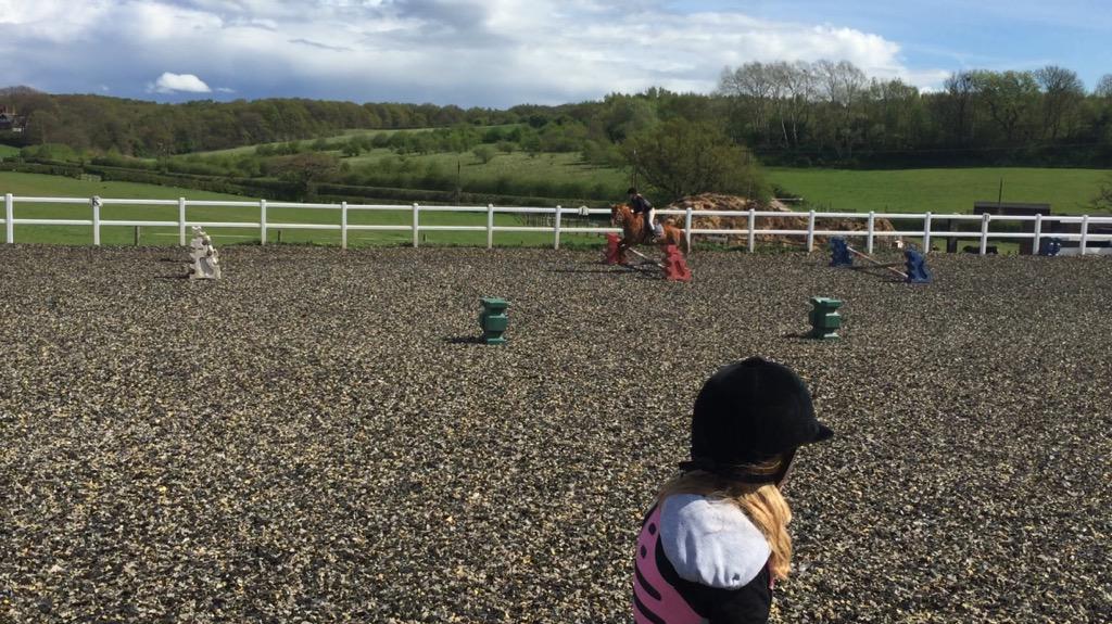 Lily_Flower_BAM's tweet photo. Enjoy My Beautiful Riding viewers 😂 http://t.co/AH89Jc9ibY