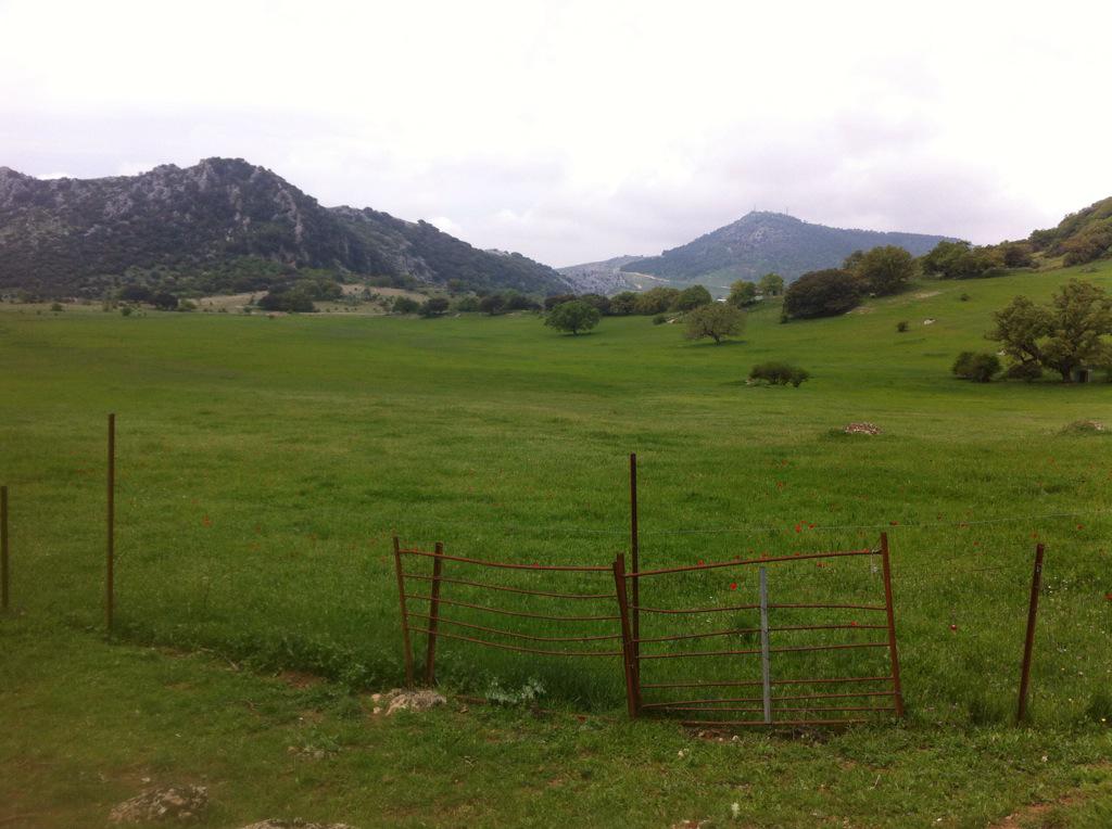 PacoZpower's tweet photo. Resumen de otro día por las sierras subbeticas! Que bonita está la sierra. #Bikers #OnRide #SAFYD http://t.co/zORYSPENEH