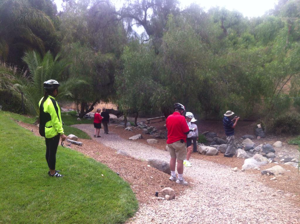 RFSnGT's tweet image. The sylvan steam meandering it's way through the eucalyptus glade calls your name, "dude, check out the fishpond!"