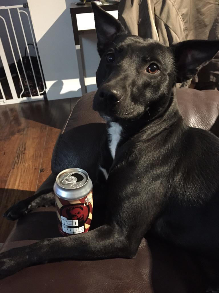CunninghamJerad's tweet photo. @ethanmcl @ToolShedBeer sorry flames fans last Thursday, wasn't drinking red rage... Bringing back the winning ways! http://t.co/tgMh2A11GB