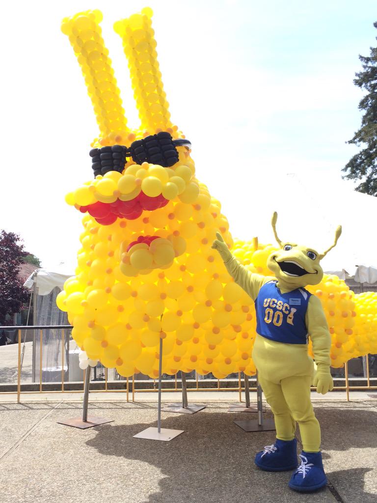 onechancedecker's tweet photo. Checking out #ucsc50 today, it's like Coachella in the redwoods #slugchella @ucsc http://t.co/XZnklBucZs