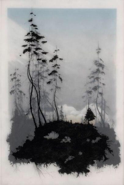 Brooks Shane Salzwedel
Карандаш.Маркер.Калька.