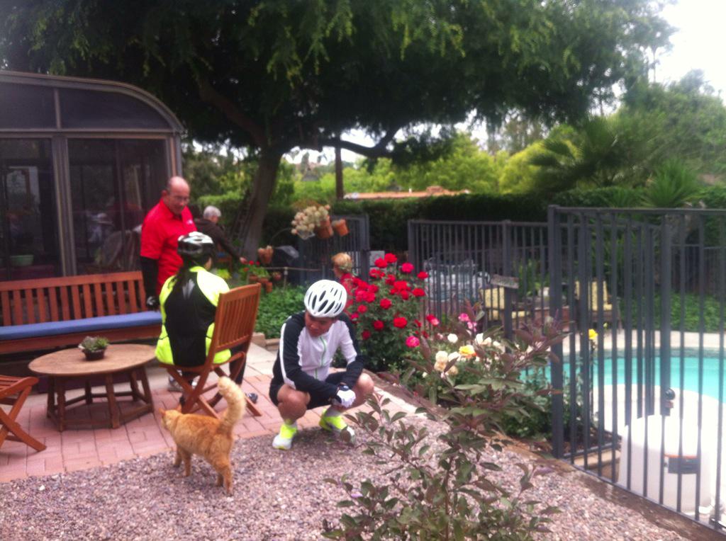 RFSnGT's tweet image. Elliot the cat checked us out, apparently he's in charge of all gatherings in Victoria Woods.