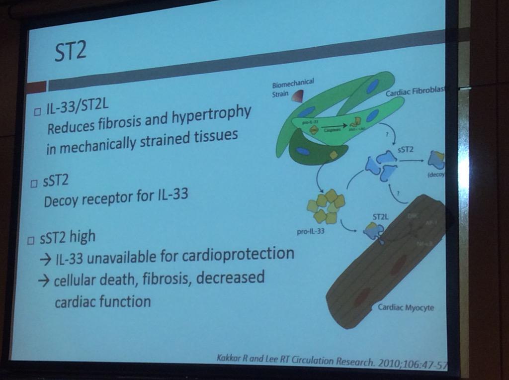 HassellLewis's tweet image. Novel myocardial remodeling markers- ST2 and galectin 10. Pathophys Dr. Akl #OSAP15