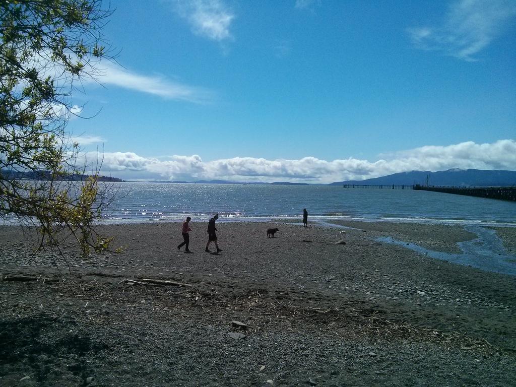 RollForKindness's tweet image. One of my favorite things about #linuxfestnw is the 10 minute walk to the water.