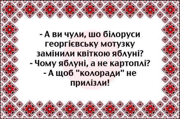 Забастовка шахтеров не расшатает ситуацию в Украине, - Яценюк - Цензор.НЕТ 2041