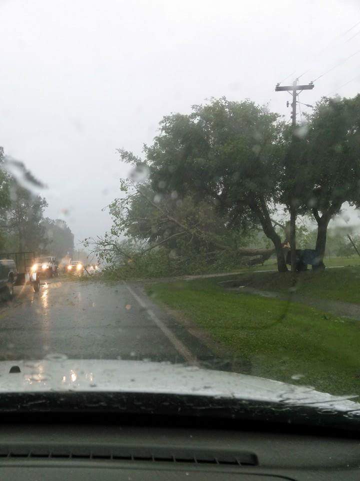 View image on Twitter View image on Twitter