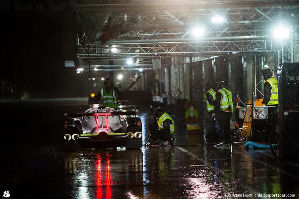 dscracelive tweet media