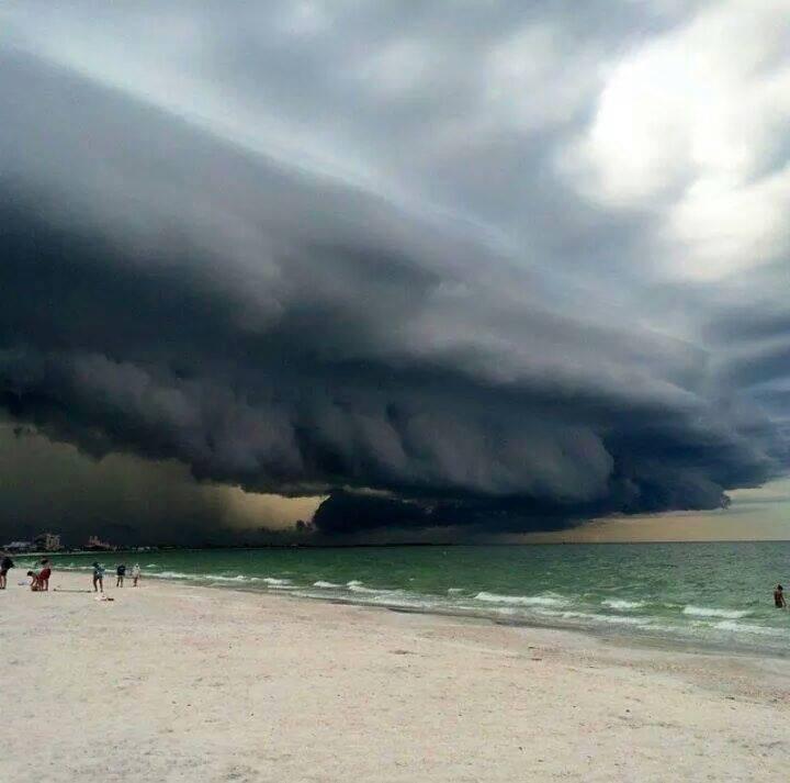 happyhillers's tweet photo. โ@streetSinger9: It really rainsโฆ
#SpringtimeInFlorida http://t.co/0ezqwY4ToYโWow!