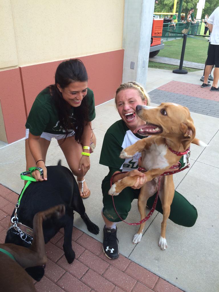 USFAthletics's tweet photo. The puppies are showing @USFSoftball the love! #BarkWithTheBulls 🐶 http://t.co/0KwqNwhScq
