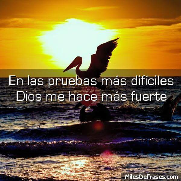 Jose Miguel Escalona (@josemesky86) on Twitter photo 