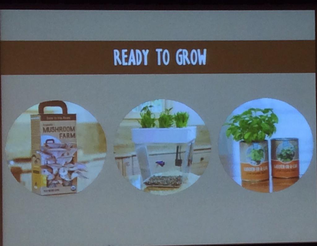 Great story from Back to the Roots! #haasreunion