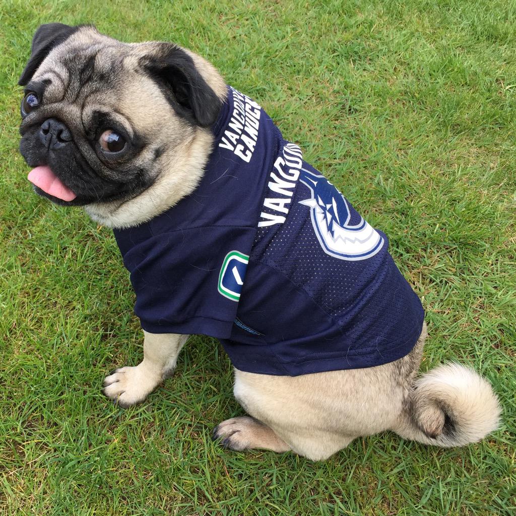 diaryofturbo's tweet photo. Got my game face on! Go @VanCanucks! #gocanucksgo 👊 http://t.co/WdkQP9Twm9