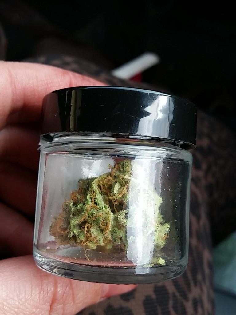 shwagityann's tweet image. Pineapple Skunk! 🍍💚🍍💚🍍 @BRC_I502 @TreeHouseClubWA