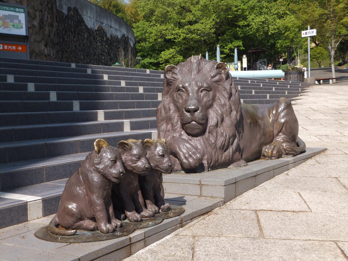 多摩動物公園 公式 Su Twitter おはようございます 多摩動物公園 もうすぐ開園です 記念写真のおすすめスポットは 正門に入って左手にあるウォッチングセンター前のライオンの親子像です 来園するみなさんを見守っています いきものウィーク さつえい Http