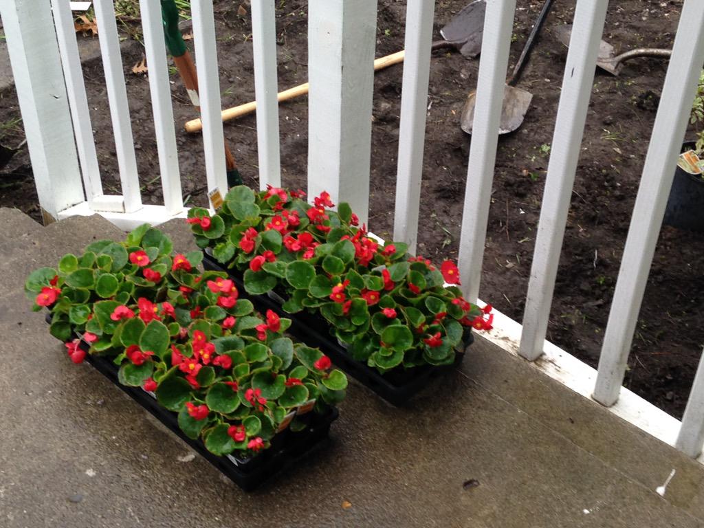 HeartChangeIndy's tweet photo. Planting in the rain on Tuxedo! #Serve15 http://t.co/CtqJS0QSLM