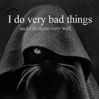 riotcat13's tweet photo. @MrAlan2U @Socialism4Jobs @casey_1888 @mistervegan @AntiAusterityUK http://t.co/315gZWb6yc