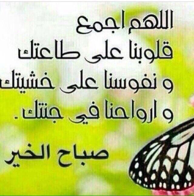 الخطابه أم سعود vip (@omsaod11) on Twitter photo 