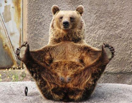 ZennNoir's tweet photo. Ahhhh Sunday's. #bear #zenbear #exhibitionist http://t.co/oKIpgoC66z